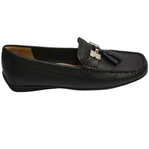 Albany Black