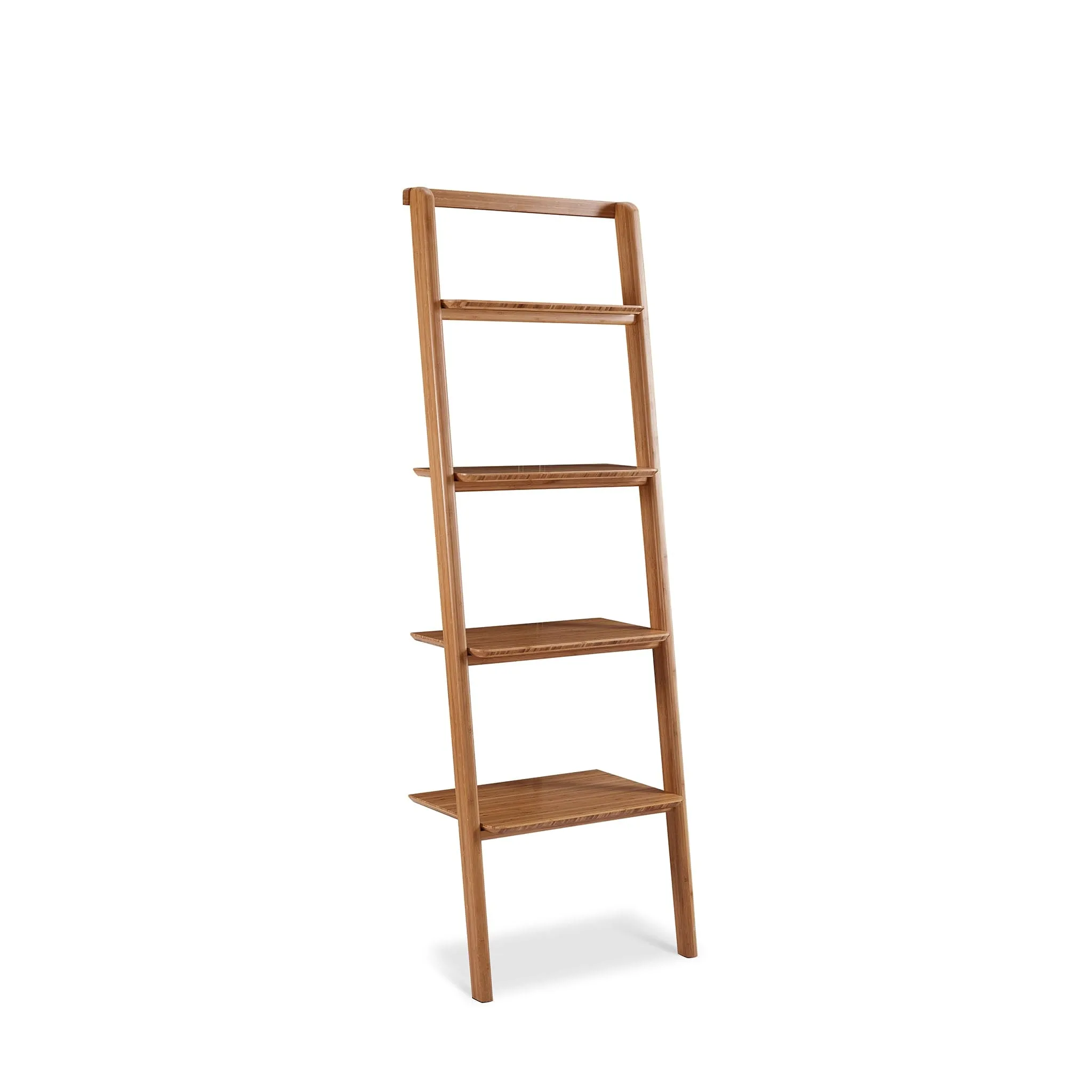 Currant Leaning Bookshelf
