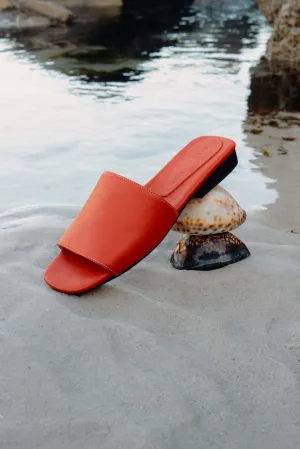 Essential Sliders | Coral
