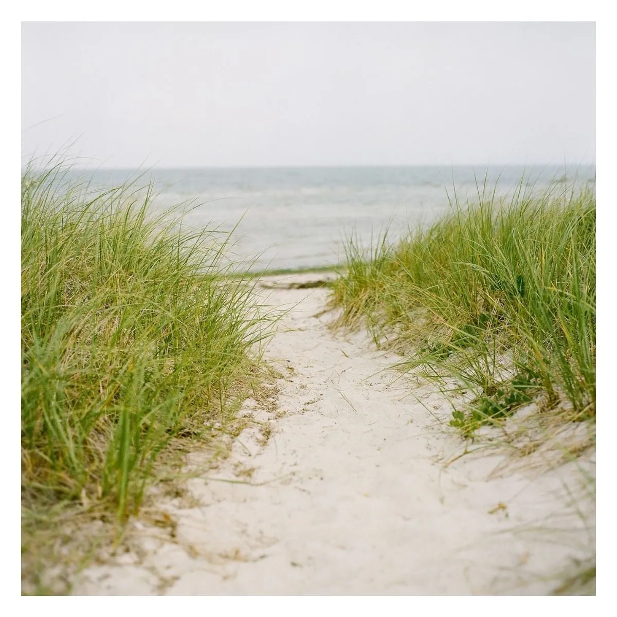 "Cape Cod Beach" Coastal Wall Art