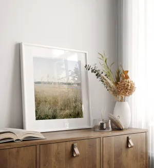 "Cape Cod Reeds" | Coastal Photography Print